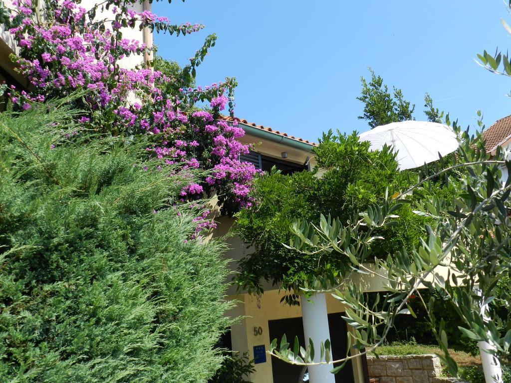 Apartments Lodra بولا المظهر الخارجي الصورة